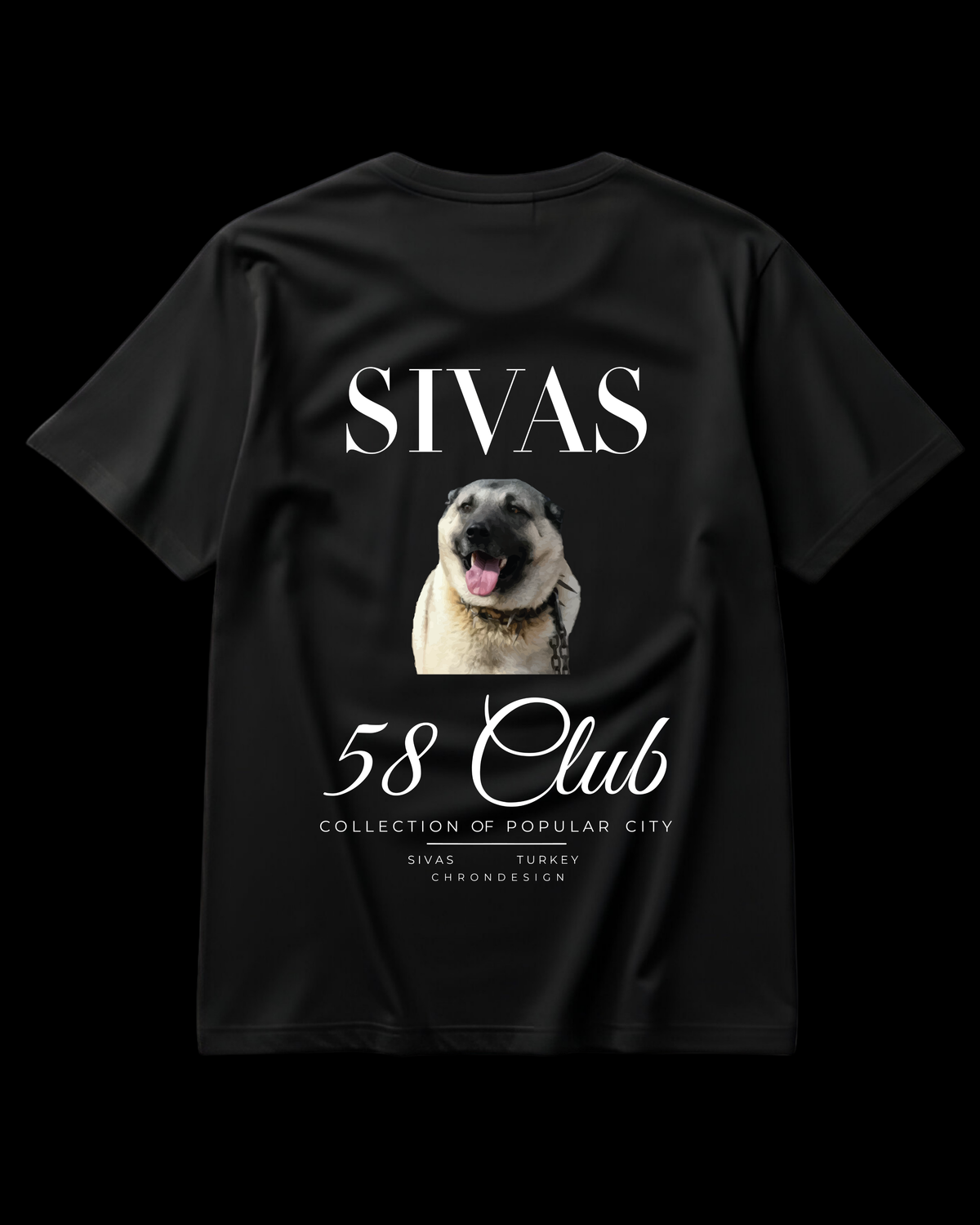SİVAS Regular Tee